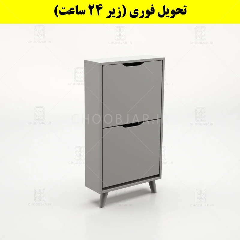 جاکفشی داشبوردی باریک دو درب النا – طول 50 (تحویل فوری) طوسی