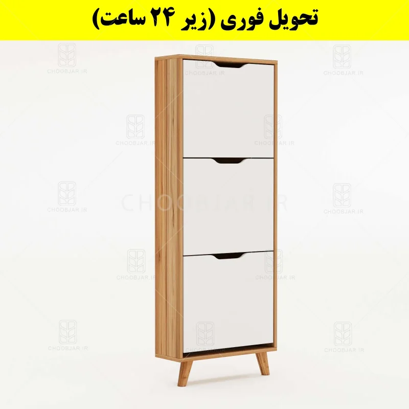 جاکفشی داشبوردی باریک سه درب النا – طول 50 (تحویل فوری) سفید گردویی جاکفشی داشبوردی باریک سه درب النا – طول 50 (تحویل فوری) سفید گردویی